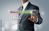 turn-key franchise sales business - 1