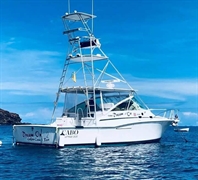 profitable turnkey fishing charter - 3