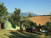 popular award winning glamping - 3