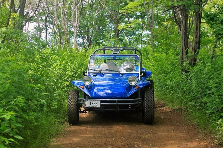 flamingo buggy