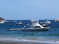 profitable turnkey fishing charter - 2